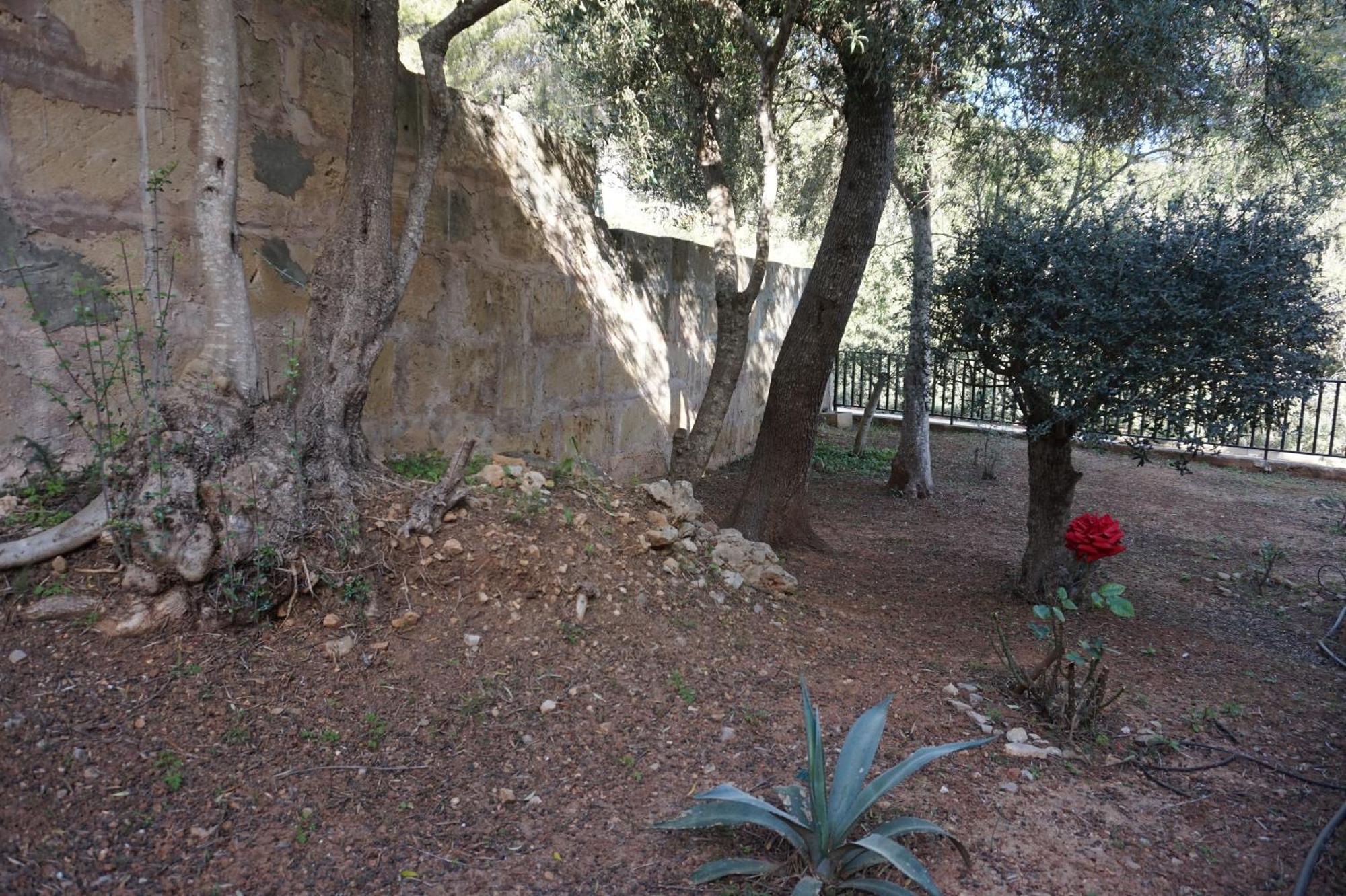 Chalet فونت دي سا كالا المظهر الخارجي الصورة
